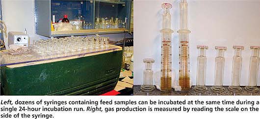 Left, dozens of syringes containing feed samples can be incubated at the same time during a single 24-hour incubation run. Right, gas production is measured by reading the scale on the side of the syringe.