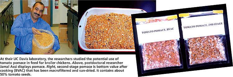 At their UC Davis laboratory, the researchers studied the potential use of tomato pomace in feed for broiler chickens. Above, postdoctoral researcher Jamal Assi displays pomace. Right, second-stage pomace is bottom value after cooking (BVAC) that has been macrofiltered and sun-dried. It contains about 50% tomato seeds.