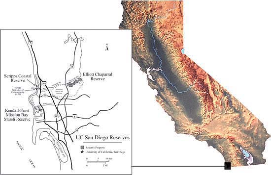 UC San Diego Reserves