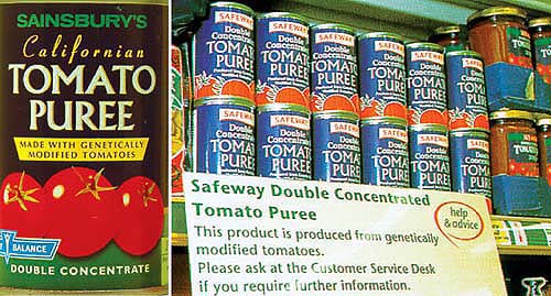 Zeneca's biotech tomato puree (paste) was successfully sold in the United Kingdom from 1996 to 2000.
