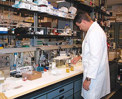 Matt Hengel, regional laboratory coordinator of the IR-4 Western Region, tests hops residue at the UC Davis Department of Environmental Toxicology.