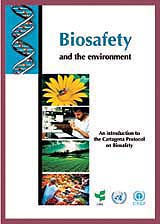 The Cartagena Protocol on Biosafety addresses the international movement of biotech-related materials.