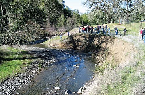 Water-quality short course participants evaluate a sediment source site (bank-cutting) along Parson's Creek using the Sediment Inventory Method, at the UC Hopland Research and Extension Center in Mendocino County.