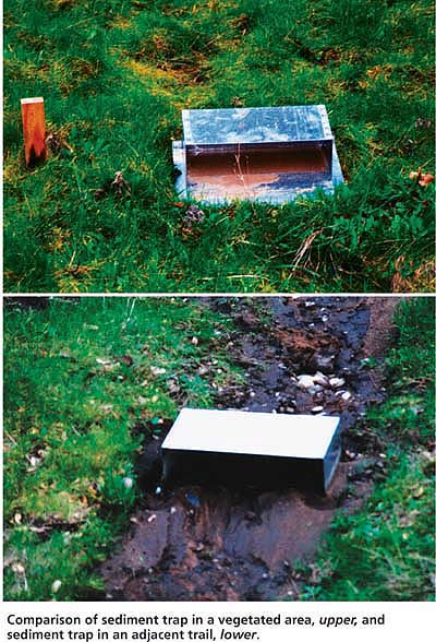 Comparison of sediment trap in a vegetated area, upper, and sediment trap in an adjacent trail, lower.