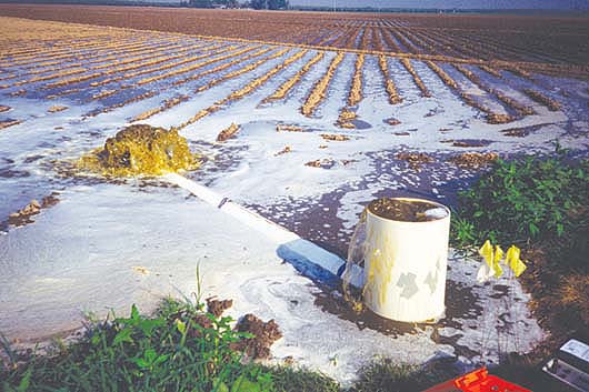 Researchers measured water discharge into the field by placing plastic hydrants over alfalfa valves with a Doppler flow meter attached.