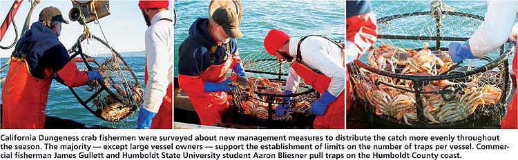 California Dungeness crab fishermen were surveyed about new management measures to distribute the catch more evenly throughout the season. The majority — except large vessel owners — support the establishment of limits on the number of traps per vessel. Commercial fisherman James Gullett and Humboldt State University student Aaron Bliesner pull traps on the Humboldt County coast.