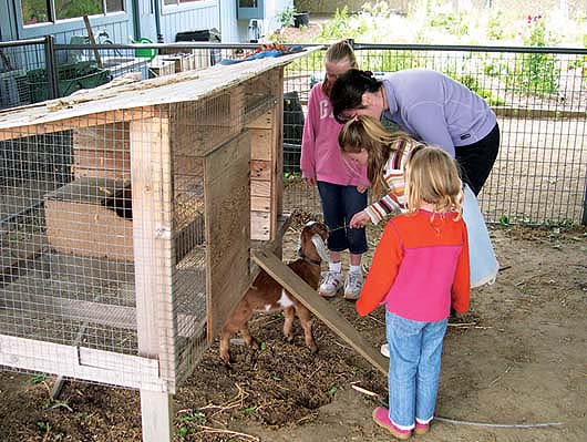 At the Birch Lane Elementary School in Davis, students keep animals as part of the Farm to School Connection. Other components of the program include farmers' market salad bars, farm tours and garden-based education.