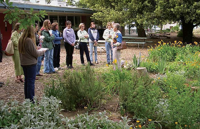 Dorothy Peterson, garden coordinator for the Davis school district, speaks to a group from the California Integrated Waste Management Board about the Farm to School Connection at Birch Lane Elementary School. Through the program's Food Waste Diversion Project, students learned to recycle lunch wastes and create compost for the garden; the gross savings from two schools was $6,230 in disposal fees during one school year.