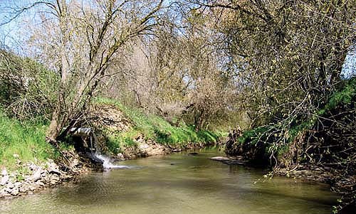 A pipe discharges field runoff into Orestimba Creek near Modesto. Sediment from this creek was found to be toxic to shrimplike bottom-dwellers called amphipods, most likely because of high levels of pyrethroids.