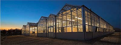 New greenhouses at night.