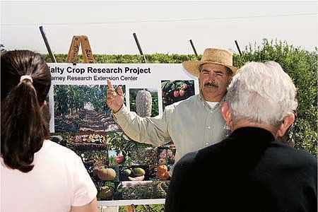 UC small farms advisor Manuel Jimenez is leading the effort to develop sound information for selecting blueberry cultivars and fine-tuning production techniques.
