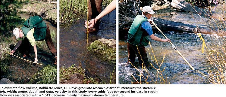To estimate flow volume, Bobbette Jones, UC Davis graduate research assistant, measures the stream's: left, width; center, depth; and right, velocity. In this study, every cubic-foot-per-second increase in stream flow was associated with a 1.64 F decrease in daily maximum stream temperature.