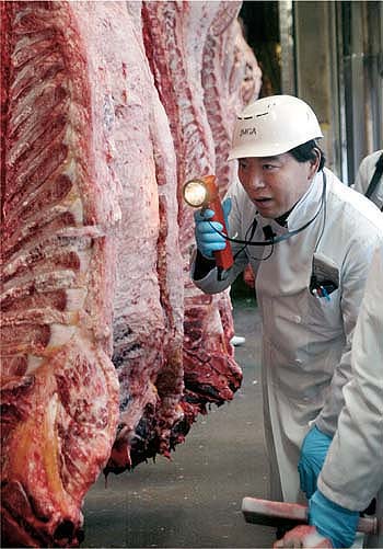 Above, a Japanese meat dealer examines cattle carcasses at a wholesale meat market in Tokyo. Between 1989 and September 2005, BSE cases were confirmed in Austria, Belgium, Canada, Czech Republic, Denmark, Finland, France, Germany, Greece, Ireland, Israel, Italy, Japan, Liechtenstein, Luxembourg, Netherlands, Poland, Portugal, Slovakia, Slovenia, Spain, Switzerland and the United States, as well as the United Kingdom (source: World Organisation for Animal Health [OIE]).