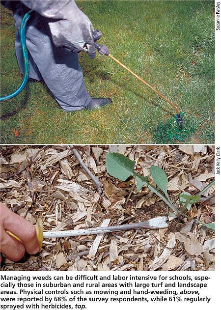 Managing weeds can be difficult and labor intensive for schools, especially those in suburban and rural areas with large turf and landscape areas. Physical controls such as mowing and hand-weeding, above, were reported by 68% of the survey respondents, while 61% regularly sprayed with herbicides, top.