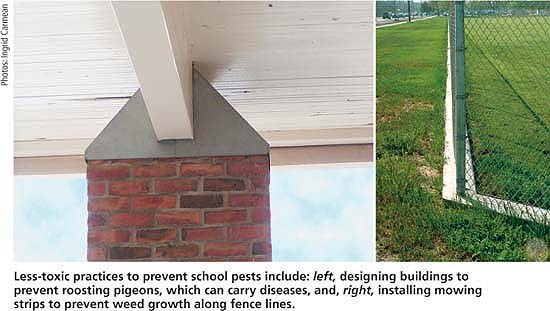 Less-toxic practices to prevent school pests include: left, designing buildings to prevent roosting pigeons, which can carry diseases, and, right, installing mowing strips to prevent weed growth along fence lines.
