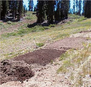 As expected, runoff from bare ground was greater than mulched and seeded plots, with a higher proportion of fine sediment particles.