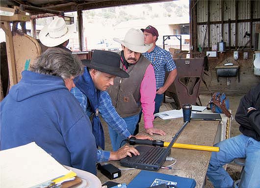 The adoption of modern technologies is becoming increasingly important for the success of commercial livestock operations. Above, researchers at the UC Sierra Foothill Research and Extension Center use DNA tests and electronic animal identification equipment to individually track the parentage and performance of each animal and identify genetically superior breeding stock.