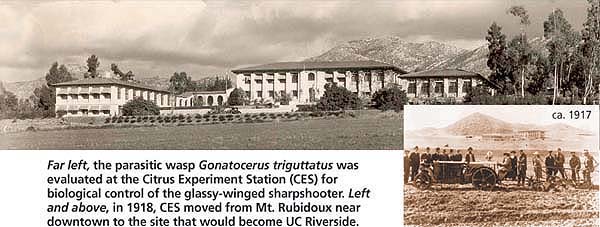 Above, in 1918, CES moved from Mt. Rubidoux near downtown to the site that would become UC Riverside.