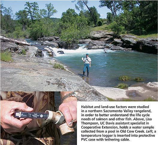 Habitat and land-use factors were studied in a northern Sacramento Valley rangeland in order to better understand the life cycle needs of salmon and other fish. Above, Lisa Thompson, UC Davis assistant specialist in Cooperative Extension, holds a water sample collected from a pool in Old Cow Creek. Left, a temperature logger is inserted into protective PVC case with tethering cable.
