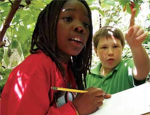 UC nutrition educators plan to use the Nutrition Competencies to develop materials for school-based nutrition education and to better integrate nutrition into the school curriculum. Daymon (left) and Jack, 4th graders at John Muir Elementary School in Berkeley, team up for close plant observation under a sage bush.