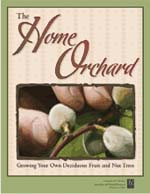 A new ANR Communication Services book. Home Orchard: Growing Your Own Deciduous Fruit and Nut Trees, was developed for backyard orchardists, rare fruit growers and small-scale growers; go to http://anrcatalog.ucdavis.edu for more information.