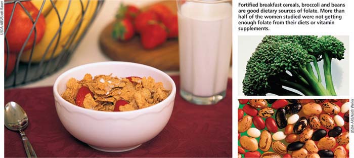 Fortified breakfast cereals, broccoli and beans are good dietary sources of folate. More than half of the women studied were not getting enough folate from their diets or vitamin supplements.