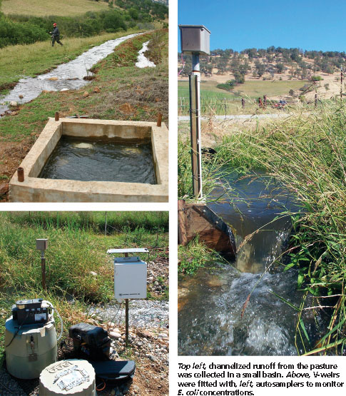 Top left, channelized runoff from the pasture was collected in a small basin. Above, V-weirs were fitted with, left, autosamplers to monitor E. coli concentrations.