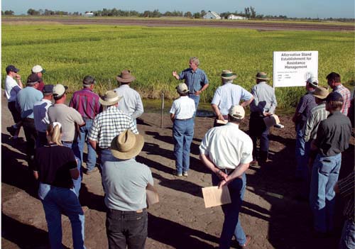 Butte County extension advisor Randal Mutters explains the differences in rice establishment systems to farmers at a field day at the California Rice Experiment Station.