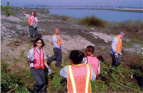 Members of the Orange County Conservation Corps help remove nonnative plants and debris from coastal sand dunes on the Bolsa Chica Ecological Reserve in Huntington Beach, and restore the area with native plants. Federal funding for workforce development programs has declined from $24 billion in 1978 to about $6 billion in 2000.