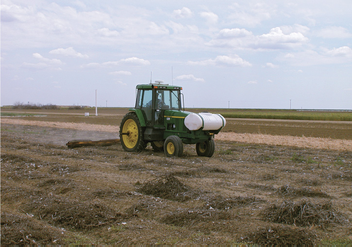 Tomato yields were maintained or improved in the 4-year conservation tillage study, but cotton yields were more problematic. Above, tomato residues are ring-rolled prior to no-till cotton planting.