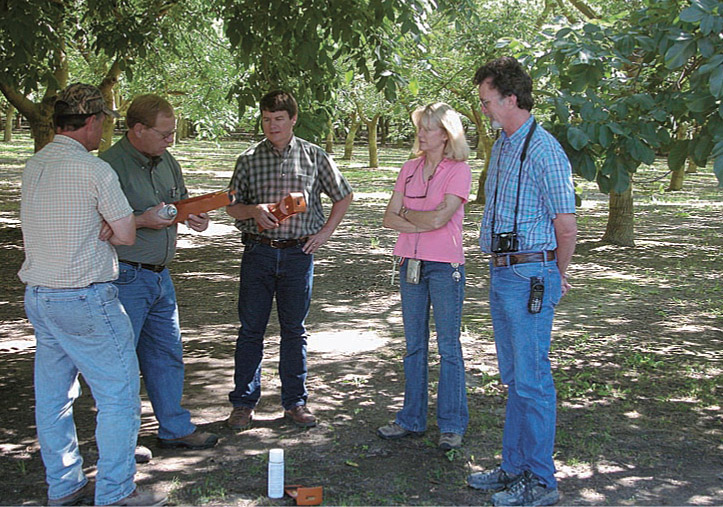 While many walnut growers are trying out alternative pest-control strategies, the analysis of California Pesticide Use Reports from 2002 to 2004 found that actual adoption rates are low. Left to right, Rick Enos of Carriere Farms, Tom Larsen of Suterra, Bill Carriere, Christine Abbott of Suterra and Glenn County farm advisor Bill Krueger learned about pheromone puffers at Carriere Farms in Glenn County.