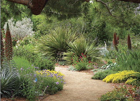The PlantRight program emphasizes that garden plants need not endanger rare ecosystems to be beautiful and garden-worthy. Above, the UC Davis Arboretum's Storer Garden.