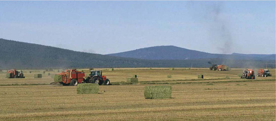 There has been an ongoing transition from small bales averaging 125 pounds to very large bales of about 1,300 pounds or more. This trend is influencing how hay-harvesting services are priced in California's intermountain region (shown, Butte Valley) and the San Joaquin Valley.