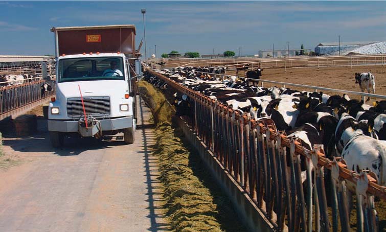 Dairy operations in California are becoming more concentrated, with more cows, more milk produced per cow, and more feed purchased off-farm. In order to limit pollution from nutrient-laden runoff, California dairies in the Central Valley face new water-quality-related rules.