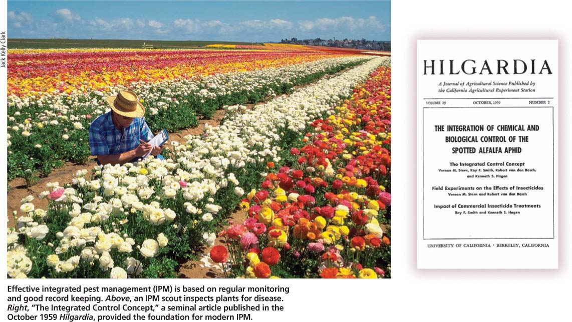 Effective integrated pest management (IPM) is based on regular monitoring and good record keeping. Above, an IPM scout inspects plants for disease. Right, “The Integrated Control Concept,” a seminal article published in the October 1959 Hilgardia, provided the foundation for modern IPM.