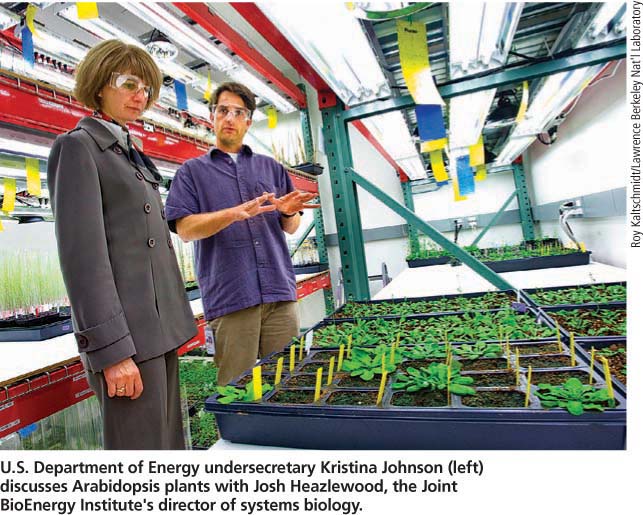 U.S. Department of Energy undersecretary Kristina Johnson (left) discusses Arabidopsis plants with Josh Heazlewood, the Joint BioEnergy Institute's director of systems biology.