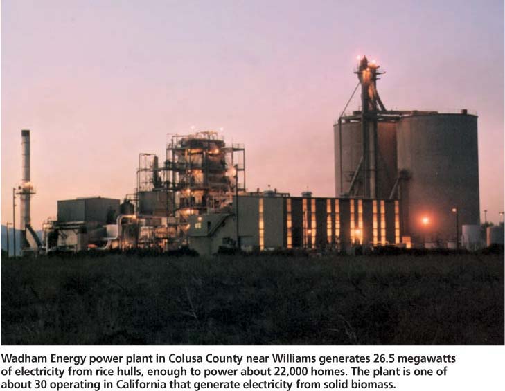 Wadham Energy power plant in Colusa County near Williams generates 26.5 megawatts of electricity from rice hulls, enough to power about 22,000 homes. The plant is one of about 30 operating in California that generate electricity from solid biomass.