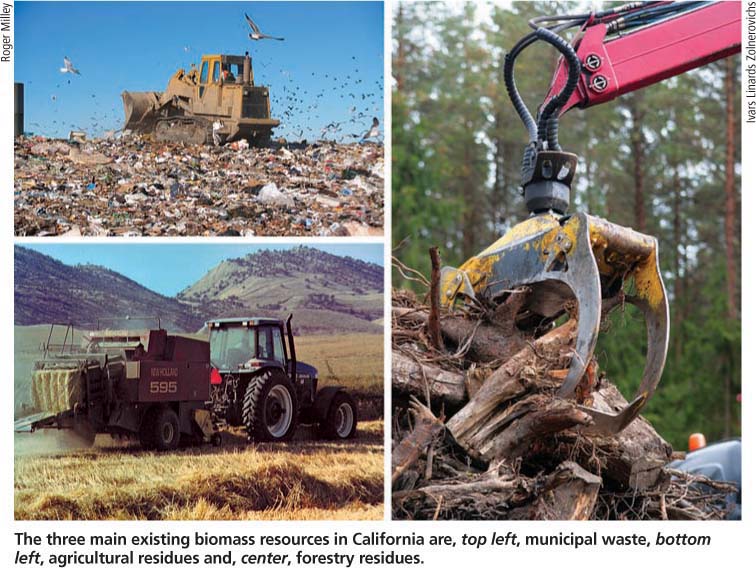 The three main existing biomass resources in California are, top left, municipal waste, bottom left, agricultural residues and, center, forestry residues.