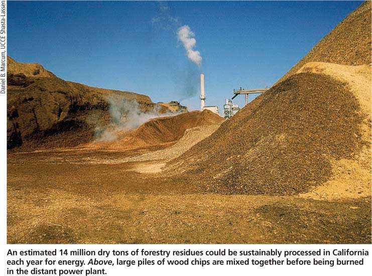 An estimated 14 million dry tons of forestry residues could be sustainably processed in California each year for energy. Above, large piles of wood chips are mixed together before being burned in the distant power plant.