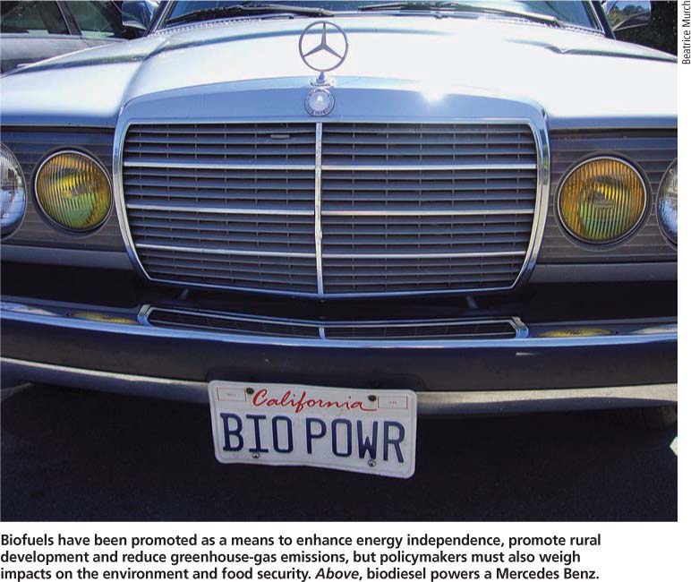 Biofuels have been promoted as a means to enhance energy independence, promote rural development and reduce greenhouse-gas emissions, but policymakers must also weigh impacts on the environment and food security. Above, biodiesel powers a Mercedes Benz.