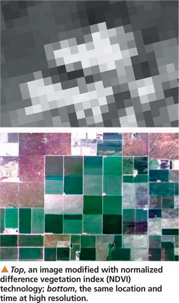 Top, an image modified with normalized difference vegetation index (NDVI) technology; bottom, the same location and time at high resolution.