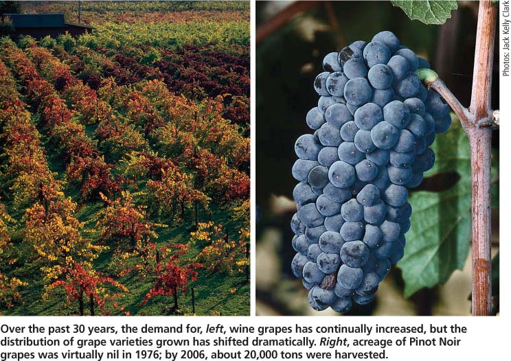 Over the past 30 years, the demand for, left, wine grapes has continually increased, but the distribution of grape varieties grown has shifted dramatically. Right, acreage of Pinot Noir grapes was virtually nil in 1976; by 2006, about 20,000 tons were harvested.