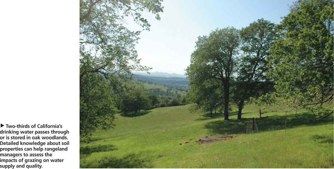 Two-thirds of California's drinking water passes through or is stored in oak woodlands. Detailed knowledge about soil properties can help rangeland managers to assess the impacts of grazing on water supply and quality.