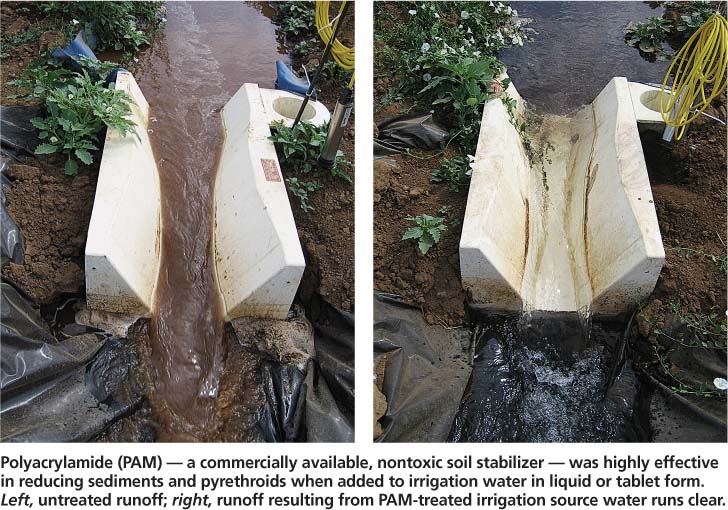Polyacrylamide (PAM) — a commercially available, nontoxic soil stabilizer — was highly effective in reducing sediments and pyrethroids when added to irrigation water in liquid or tablet form. Left, untreated runoff; right, runoff resulting from PAM-treated irrigation source water runs clear.