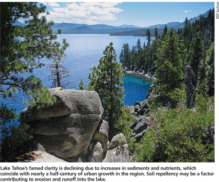Lake Tahoe's famed clarity is declining due to increases in sediments and nutrients, which coincide with nearly a half-century of urban growth in the region. Soil repellency may be a factor contributing to erosion and runoff into the lake.
