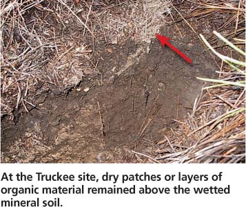 At the Truckee site, dry patches or layers of organic material remained above the wetted mineral soil.