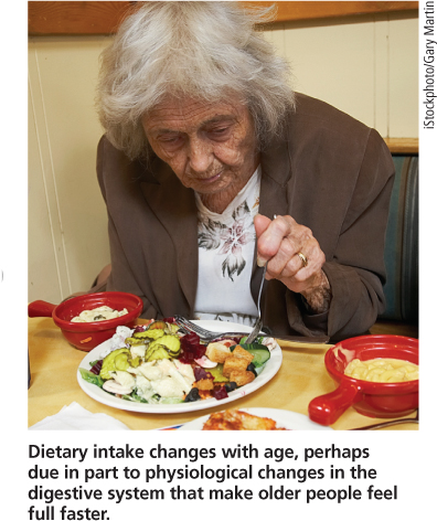 Dietary intake changes with age, perhaps due in part to physiological changes in the digestive system that make older people feel full faster.