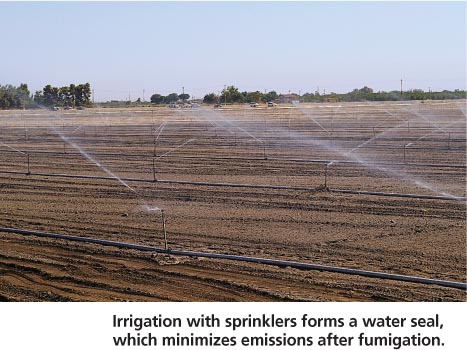 Irrigation with sprinklers forms a water seal, which minimizes emissions after fumigation.