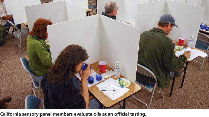California sensory panel members evaluate oils at an official tasting.