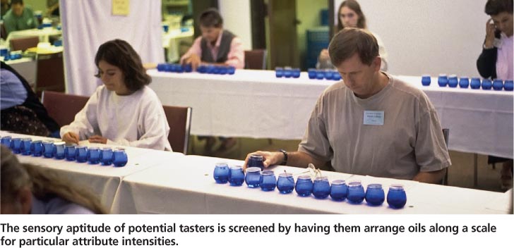 The sensory aptitude of potential tasters is screened by having them arrange oils along a scale for particular attribute intensities.
